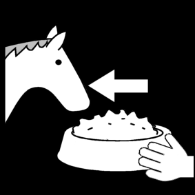 cheval: donner à manger